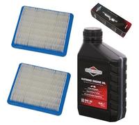 perfektGarten Bougie d'allumage + filtre + huile compatible avec Briggs & Stratton B&S Quantum 625 650 675