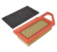 perfektGarten Filtre à air compatible avec Alpina Castel Garden Mountfield Stiga / 118550321/0 1134-9163-01