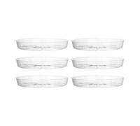 perfk 6 Pièces Plateau de Plante Plateau Récipient Pots Plantes Dessous de Pot Rond Plateau Collecteur d'eau Transparent Fabriqué en PP Léger et Ada, 8 Pouces