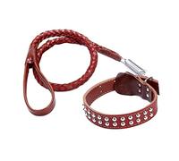 perfk Corde de Traction pour Fournitures pour Animaux de Compagnie Collier d'entraînement pour en, Col Moyen Marron