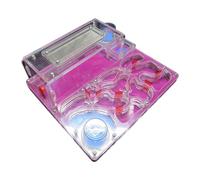 perfk Fourmilière en Acrylique, château, nid de Fourmis, humidité, Bricolage, avec Zone d'alimentation, colonie rectangulaire Robuste, Jouet éducatif, Rouge