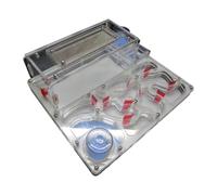 perfk Fourmilière en Acrylique, château, nid de Fourmis, humidité, Bricolage, avec Zone d'alimentation, colonie rectangulaire Robuste, Jouet éducatif, Blanc