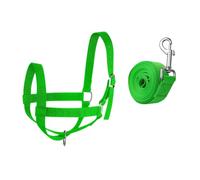 perfk Licol en Nylon pour Vache, Licol Professionnel pour Poulain, Mouton, Moderne avec Longe, Harnais pour âne, chèvre, Cheval, pour Veau
