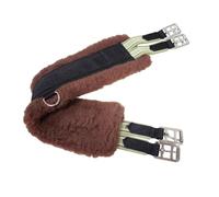 perfk Sangle de Dressage légère en Acier Inoxydable pour Chevaux, Sangle Courte pour Longues randonnées, entraînement, échauffement, Cours en Club, 80cm