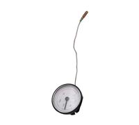perfk Thermomètre mécanique à cadran axial avec tube capillaire 0-80 °C / 30-180 °F Jauge de température capillaire intérieure pour eau liquide et, A Fahrenheit