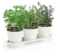 PERFNIQUE Jardin d'herbes aromatiques d'intérieur pour intérieur/extérieur, Pots de Fleurs de Ferme, kit de Jardin d'herbes aromatiques avec Plateau, Pots de fenêtre pour Plantes d'intérieur (Blanc
