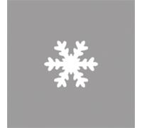 Perforatrice : Flocon Neige, Ø2,54cm, (1"), 1 Pce.
