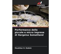 Performance Delle Piccole E Micro Imprese Di Hargeisa Somaliland