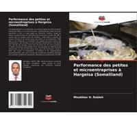 Performance Des Petites Et Microentreprises À Hargeisa (Somaliland)