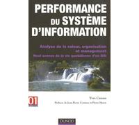 Performance du système d'information: Analyse de la valeur, organisation et management, Neuf scènes de la vie quotidienne d'un DSI