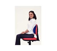 Performance Health Confort du Dos 'A', 1/2 rouleau dynamique rempli d'air, S'utilise sur une chaise, soutien du bas du dos et soulagement de la douleur