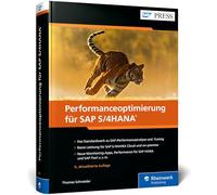 Performanceoptimierung für SAP S/4HANA: Beste Leistung für SAP S/4HANA Cloud (Public und Private Edition) und On-Premise