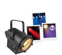 Performer 2500 Fresnel Tungsten