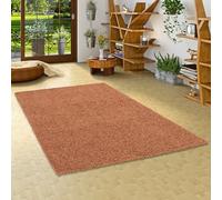 Pergamon Fluffy - Tapis Shaggy à Poils Longs - Terre Cuite - 5 Tailles