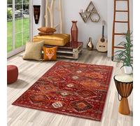 Pergamon Pop-Vintage - Tapis de Designer Orient - Terre Cuite Moderne - 5 Tailles