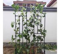 Pergola de jardin demi-face avec arche en treillis, support de plantes grimpantes, support de fleurs extérieur, tonnelle décorative pour jardin, terrasse et pelouse.