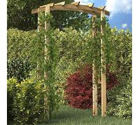 Pergola de jardin en bois 105 x 35 x 210 cm en pin traité pour terrasse, support parfait pour roses grimpantes et plantes, décoration idéale pour l'entrée