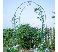 Pergola en métal antirouille pour plantes grimpantes, arche de mariage stable avec base, parfaite pour les fêtes en plein air (vert foncé, 300 x 250 cm)