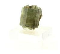 PÉRIDOT - Pierre Naturelle en Provenance du Pakistan, Skardu District - Pierre précieuse verte, propriétés de guérison, 8.91 ct - Certificat d'Authenticité Inclus 14 x 11 x 8 mm G