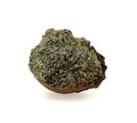 Péridotite. 767.7 Ct. Mont Briançon, Haute-Loire, France.