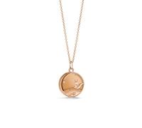 PERIMADE Collier avec médaillon personnalisé pour femme, médaillon personnalisé petit prince renard qui peut contenir une photo, collier à breloques commémoratives avec gravure personnalisée, cadeau