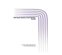 Perinatal Quality Improvement Nurse: Journal, Notes, Ideas, Actions, Priorities, Checklists, Log | Tool for Daily Goal Setting Tracker | Time ... | Project Office Book Gifts for Meetings