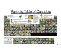 Periodic Table of Cannabis - 61x91,5 cm - AFFICHE / POSTER G