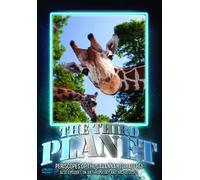 Periscopes of The Savannah-Giraffes