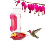 Perky Pet 455-2 Mangeoire à Colibri montée sur fenêtre en Verre 445-2 Rouge 446,9 g