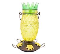 Perky-Pet Mangeoire à Colibri en Verre pour Ananas 9110-2 - 28 oz