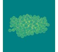 Perle Bois Lucy Rond 5,5mm 260 Pièces