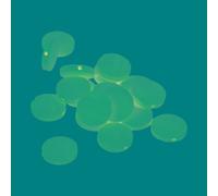 Perle Bois Lucy Rond Plate 15x4,3mm 17 Pièces