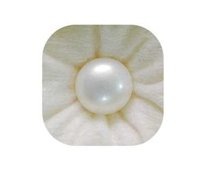 Perle naturelle Moti des mers du Sud 9,40 carats avec carte certifiée en laboratoire et carte de garantie (pierre précieuse Moti certifiée naturelle/pierre perle/pierre précieuse certifiée originale