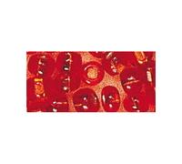 Perle Rocaille Garniture Argentée Orange Ø 2,6 Mm 16 G