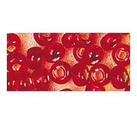 Perle rocaille - Rouge - Garniture argent - Ø 2,6 mm - 16 g Rouge G