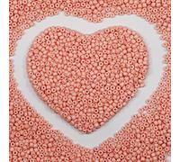 Perles de rocaille rose pâle en vrac de 3 mm pour la fabrication de bijoux, 110 g, environ 3 200 perles en verre 8/0 pour la fabrication de boucles d'oreilles, bracelets, pendentifs, bijoux de taille,