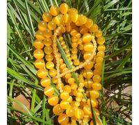 Perles d'opale œil-de-chat rose de 4/6/8/10/12 mm, en pierre naturelle et verre, pour la création de bijoux, bracelets et accessoires DIY. Lot de 61 perles de 6 mm, couleur or, 15 pouces (38 cm).