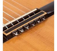 Perles en plastique pour guitare acoustique flamenco classique en marron brillant pour cordes en nylon Alba Guitar Beads