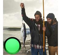 Perles Lumineuses, Matériel de Pêche, Leurres, Outils pour Pêcheurs, 1000 Pièces/boîte, Plastique, Pêche de Nuit ou en Haute Mer