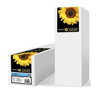 PERMAJET Papier Photo Gloss Instant Dry 271g 17'' 30m