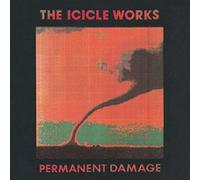 Permanent Damage