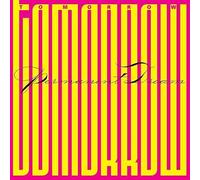 Permanent Dream – Vinyle 12" (180 g) – Pochette gatefold – Edel