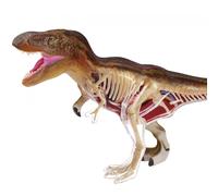 Permanent Mixte Bte/Explora Paleontologie T Rex 27