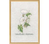 Permin Kit de broderie au point de croix Calystegia