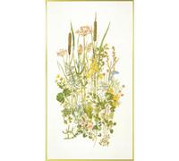 Permin Kit de broderie au point de croix Plantes aquatiques II Motif compté