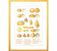 Permin Point de croix set "Coquillage", motif à compter, 46x56cm, 70-6400