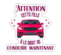 Permis De Conduire Humour Cadeau Autocollant Sticker