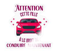 Permis De Conduire Humour Cadeau Autocollant Sticker