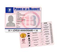 Permis humoristique - Majorité - 18 ans - Fille - Rose - Décoration de fête - Intérieur