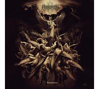 Permutation - Transience [Compact Discs]